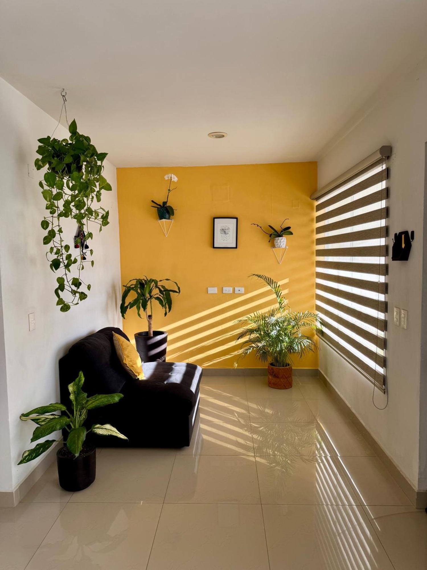 Casa Residencial La Primavera Puerto Vallarta Buitenkant foto
